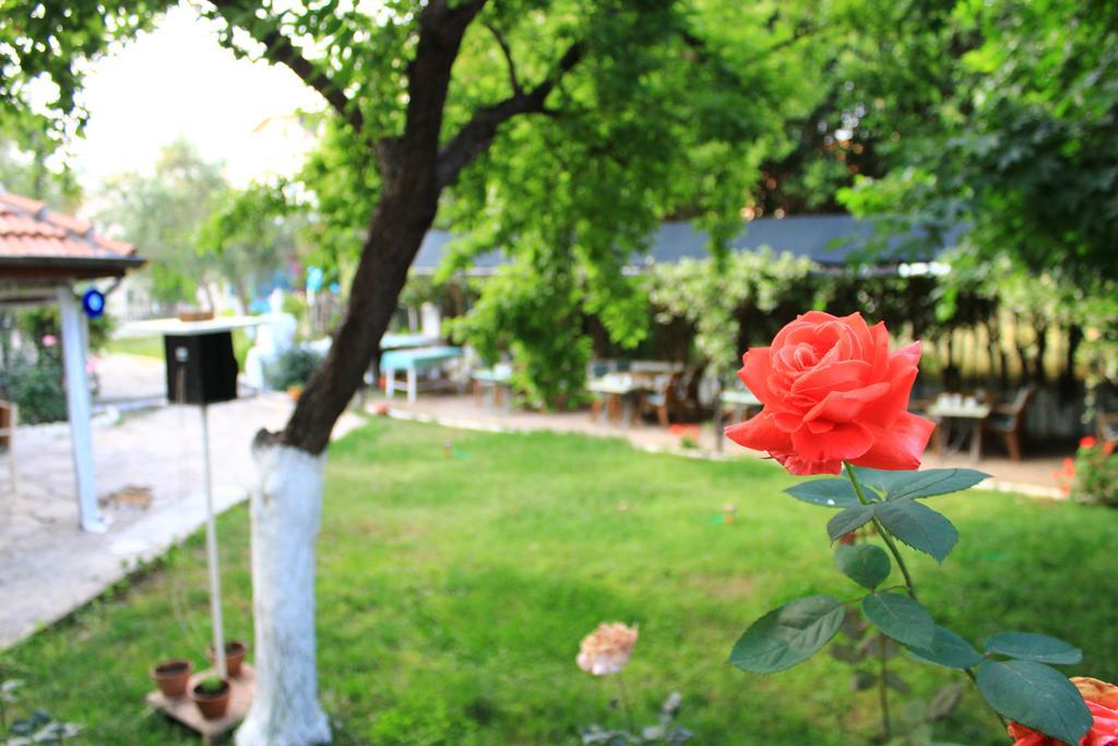 Sirin Pension Fethiye Zewnętrze zdjęcie